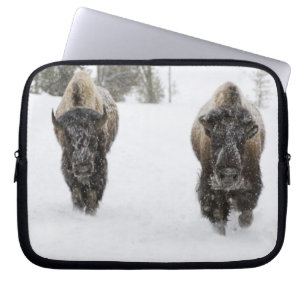 USA, WY, Yellowstone NP, Amerikanischer Bison (Bis Laptopschutzhülle