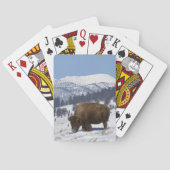 USA, WY, Yellowstone NP, amerikanischer Spielkarten (Rückseite)