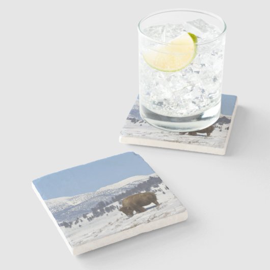 USA, WY, Yellowstone NP, amerikanischer Steinuntersetzer (Seitenansicht)