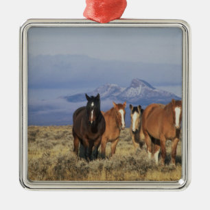USA, Wyoming, bei Cody Group Ornament Aus Metall