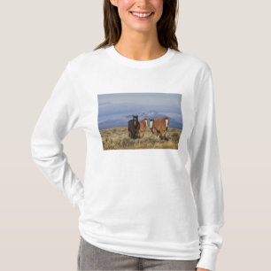 USA, Wyoming, bei Cody Group T-Shirt