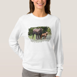 USA, Wyoming, Bighorn Mountains, Elch Alces T-Shirt