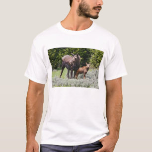 USA, Wyoming, Bighorn Mountains, Elch Alces T-Shirt
