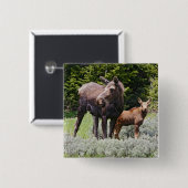 USA, Wyoming, Bighorn Mountains, Elche Alces Button (Vorne & Hinten)