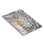 USA, Wyoming, Bobcat Notizblock (Rechte Seite)