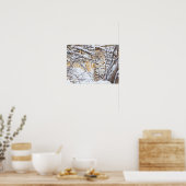 USA, Wyoming, Bobcat Poster (Küche)