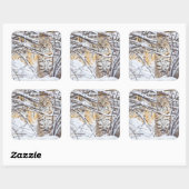 USA, Wyoming, Bobcat Quadratischer Aufkleber (Blatt)