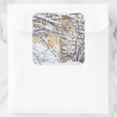 USA, Wyoming, Bobcat Quadratischer Aufkleber (Tasche)