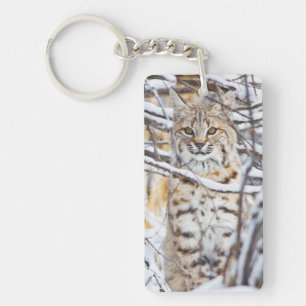 USA, Wyoming, Bobcat Schlüsselanhänger