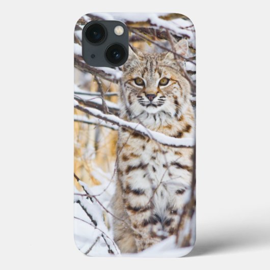 USA, Wyoming, Bobcat, schneebedeckt Case-Mate iPhone Hülle (Rückseite)