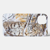 USA, Wyoming, Bobcat, schneebedeckt Case-Mate iPhone Hülle (Rückseite (Horizontal))