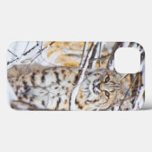 USA, Wyoming, Bobcat, schneebedeckt Case-Mate iPhone Hülle (Rückseite (Horizontal))