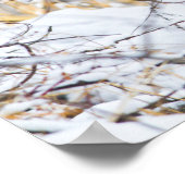 USA, Wyoming, Bobcat sitting in snow-covered Poster (Ecke)