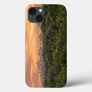 USA, Wyoming, Grand Teton National Park 1 Case-Mate iPhone Hülle