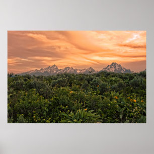 USA, Wyoming, Grand Teton National Park 1 Poster