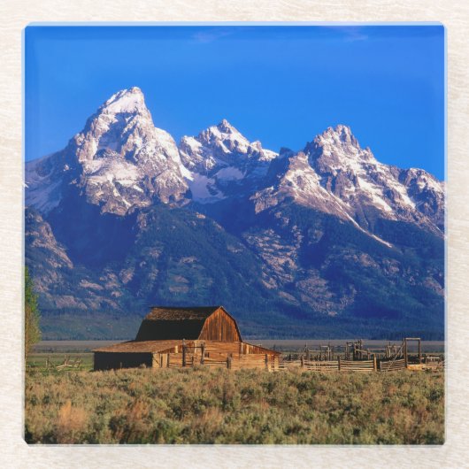 USA, Wyoming, Grand Teton National Park Glasuntersetzer (Vorderseite)