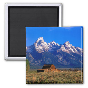 USA, Wyoming, Grand Teton National Park, Morning Magnet