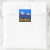 USA, Wyoming, Grand Teton National Park, Morning Quadratischer Aufkleber (Tasche)