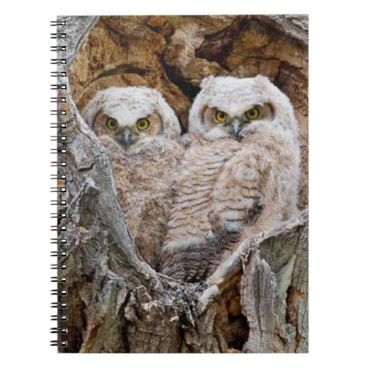 USA, Wyoming, Grand Teton National Park Notizblock (Vorderseite)