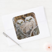 USA, Wyoming, Grand Teton National Park Quadratischer Aufkleber (Umschlag)