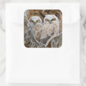 USA, Wyoming, Grand Teton National Park Quadratischer Aufkleber (Tasche)