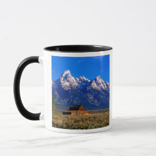 USA, Wyoming, Grand-Teton-Nationalpark, Morgen Tasse