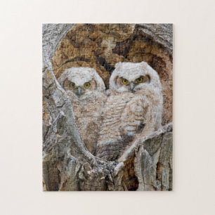 USA, Wyoming, Grand-Teton-Nationalpark Puzzle