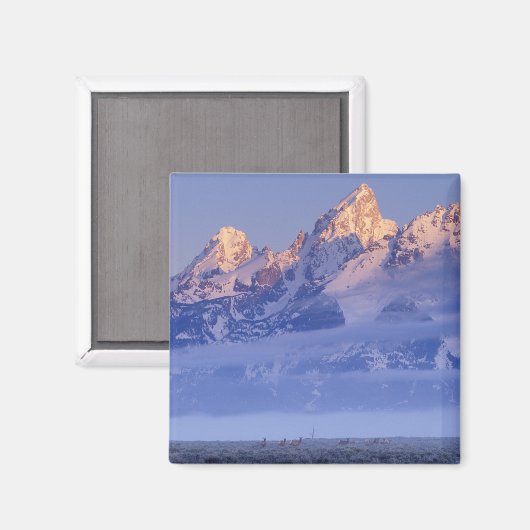 USA, Wyoming, Grand Teton NP, 2 Magnet (Vorderseite/Rückseite)