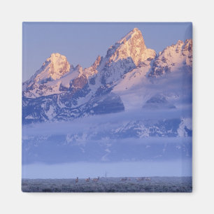 USA, Wyoming, Grand Teton NP, 2 Magnet
