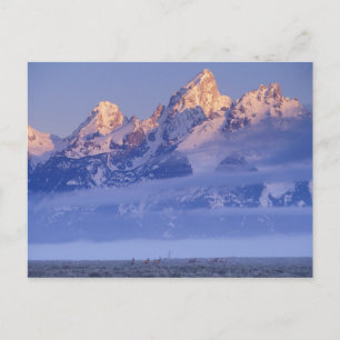 USA, Wyoming, Grand Teton NP, 2 Postkarte