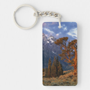 USA, Wyoming, Grand Teton NP. Eine einsame Zeder Schlüsselanhänger