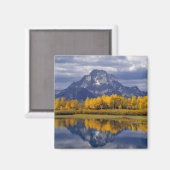 USA, Wyoming, Grand Teton NP. gegen Magnet (Vorderseite/Rückseite)