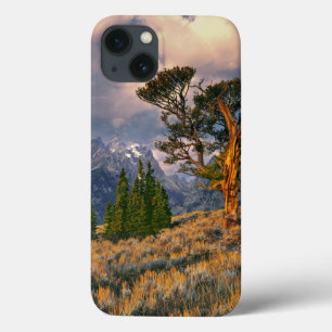 USA, Wyoming, Grand Teton NP. Sonnenaufgang begrüß Case-Mate iPhone Hülle