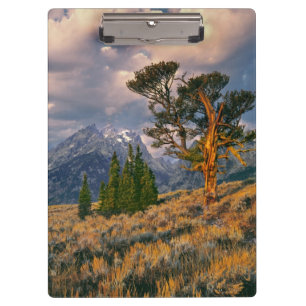 USA, Wyoming, Grand Teton NP. Sonnenaufgang begrüß Klemmbrett