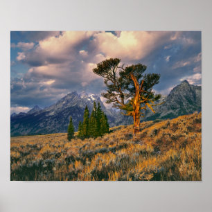 USA, Wyoming, Grand Teton NP. Sonnenaufgang begrüß Poster