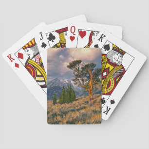 USA, Wyoming, Grand Teton NP. Sonnenaufgang begrüß Spielkarten