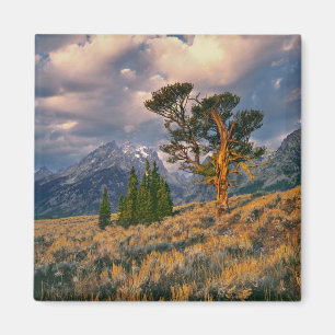 USA, Wyoming, Grand Teton NP. Sonnenaufgang Magnet