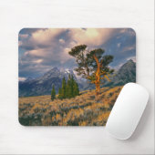 USA, Wyoming, Grand Teton NP. Sonnenaufgang Mousepad (Mit Mouse)