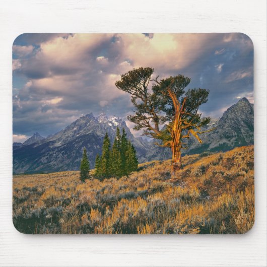 USA, Wyoming, Grand Teton NP. Sonnenaufgang Mousepad (Vorne)