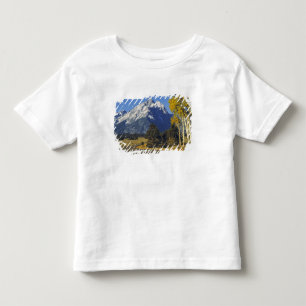 USA, Wyoming, Grand Teton NP. Teton Parkway Kleinkind T-shirt