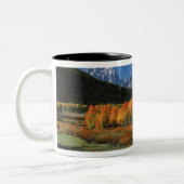 USA, Wyoming, Grand Tetons National Park in Zweifarbige Tasse (Links)