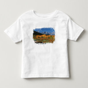 USA, Wyoming, Grand Tetons Nationalpark in Kleinkind T-shirt