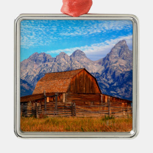 USA, Wyoming, großartiger Teton Nationalpark Silbernes Ornament