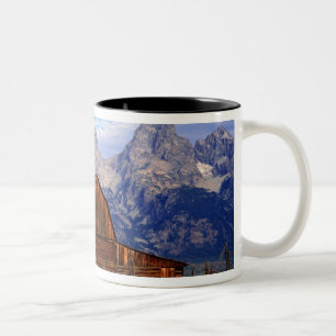 USA, Wyoming, großartiger Teton Nationalpark Zweifarbige Tasse