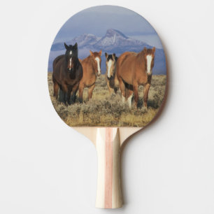 USA, Wyoming, nahe Cody Gruppe von Pferden Tischtennis Schläger