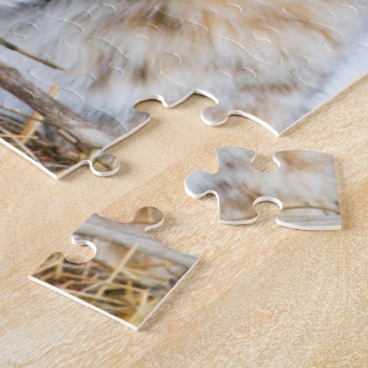 USA, Wyoming, Portrait von Bobcat Puzzle (Seite)