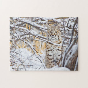 USA, Wyoming, Rotluchs Puzzle