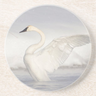 USA, Wyoming, Trompeter-Schwan spreizt Flügel Sandstein Untersetzer