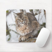 USA, Wyoming, Yellowstone National Park, Bobcat Mousepad (Mit Mouse)
