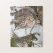 USA, Wyoming, Yellowstone National Park, Bobcat Puzzle (Vertikal)